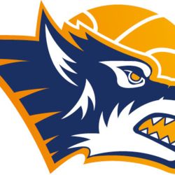 Logo der Rostock Seawolves, ein Wolfskopf vor einem Basketball