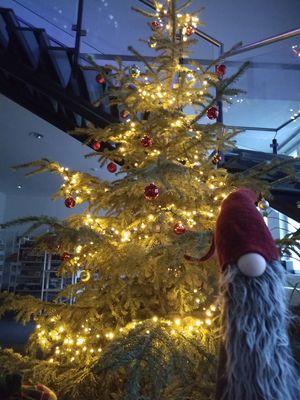 Erleuchteter Weihnachtsbaum mit Wichtel in der Bibliothek